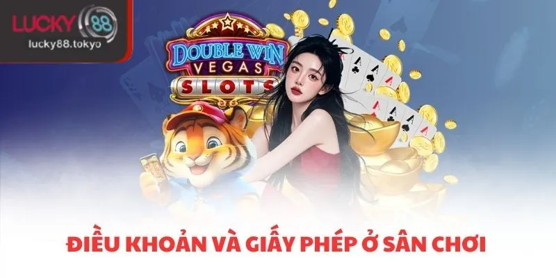 Điều khoản và giấy phép ở sân chơi